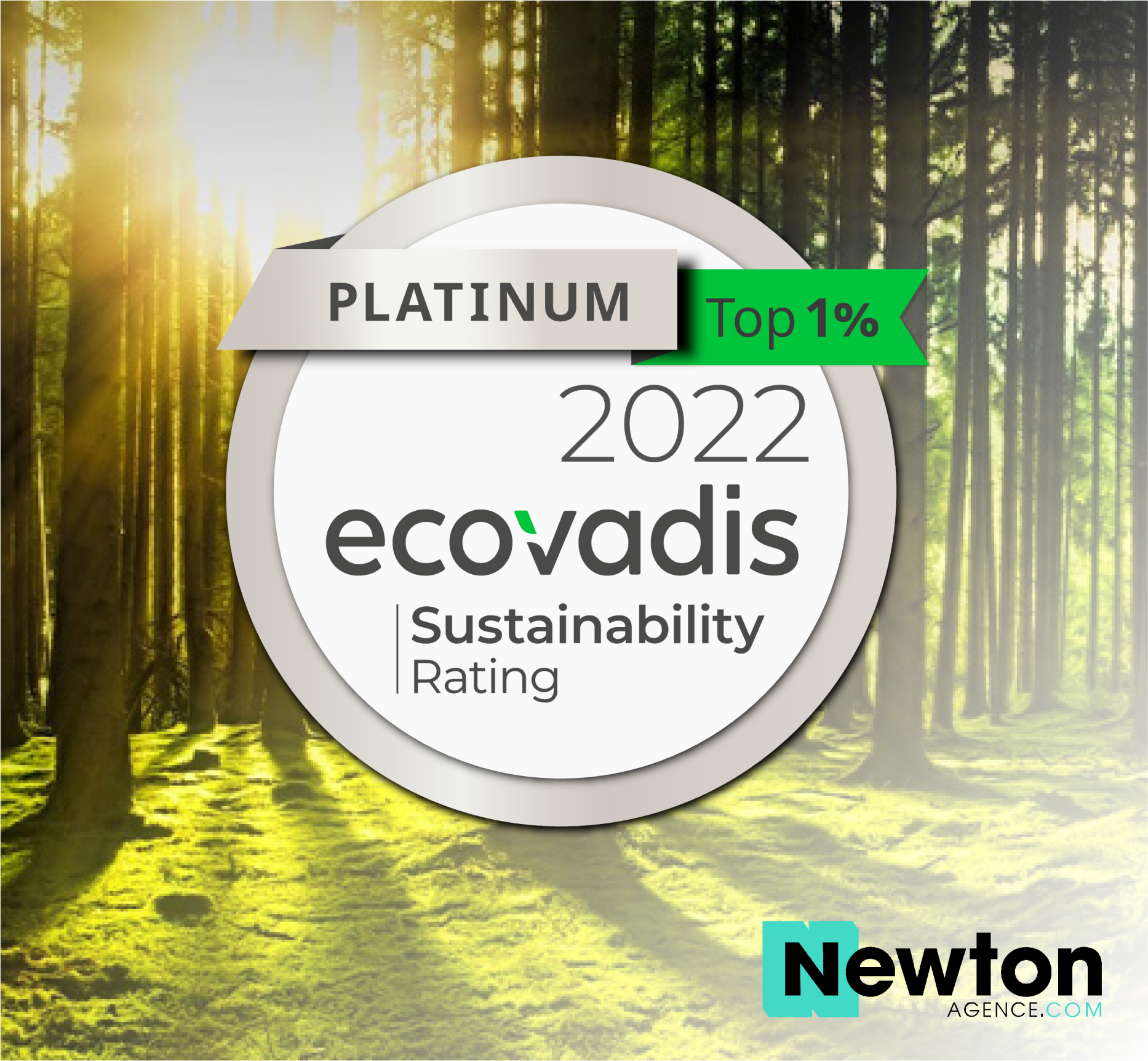 Lire la suite à propos de l’article Newton Agence obtient la médaille platine Ecovadis 2022