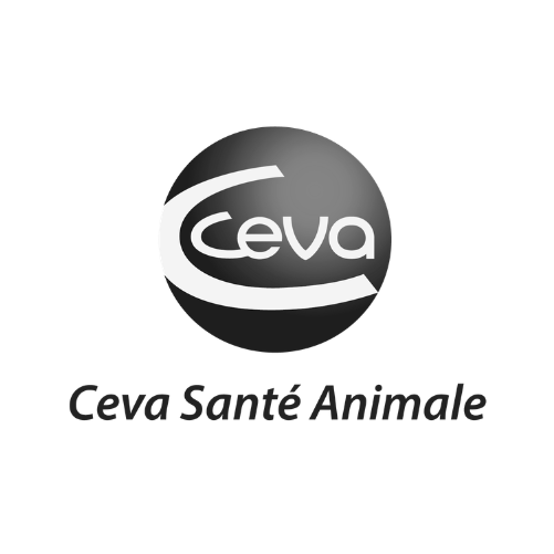 Logo9